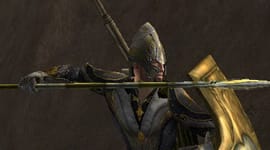 Elfo Vanyar