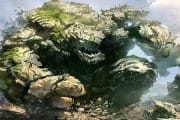 elemental da terra 600x300