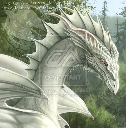 Sword_of_the_Dragon__DETAIL_by_Nambroth