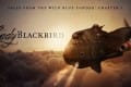 lady blackbird